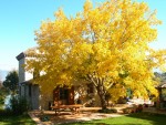 Farmhouse in Narni photo