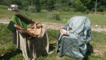 Green Paradise / outdoor metaphysical