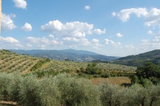 Agriturismo Il Giardino