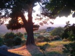 Villa in Toscana