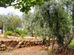 Ostuni perfume of Provence