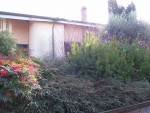 Villa nei pressi dei Castelli Romani