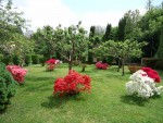 Villa Serena