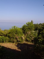 Villa on the sea in Castiglioncello