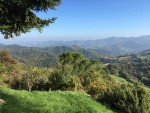 Ca Bosco