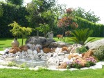 The Oasis