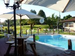 The Oasis