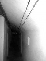 LOVE BUNKER