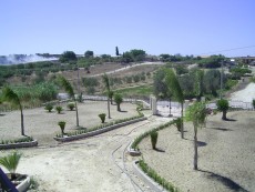 Villa rose della felicità