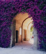 Agriturismo San Teodoro Nuovo