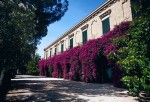 Agriturismo San Teodoro Nuovo foto