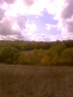 Tuscan forest upper Merse park