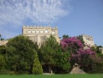 Castle of Enas