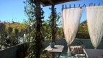 roof garden