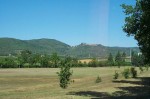 Podere Il Riccio