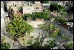 ROOF GARDEN 'MADE IN ROME'