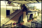 ROOF GARDEN 'MADE IN ROME'